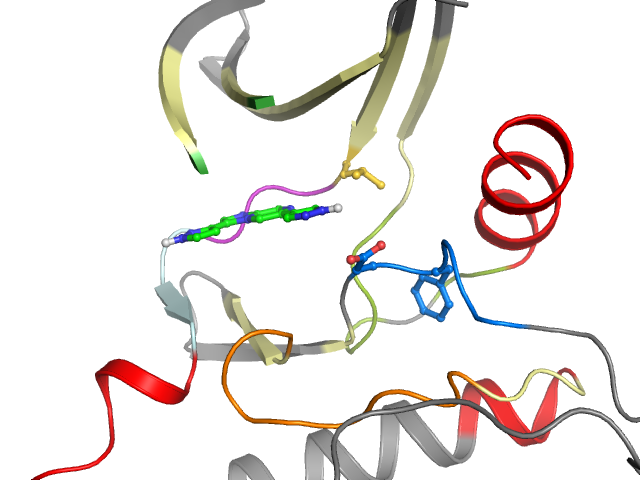 The orthosteric binding pocket