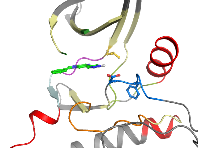The orthosteric binding pocket