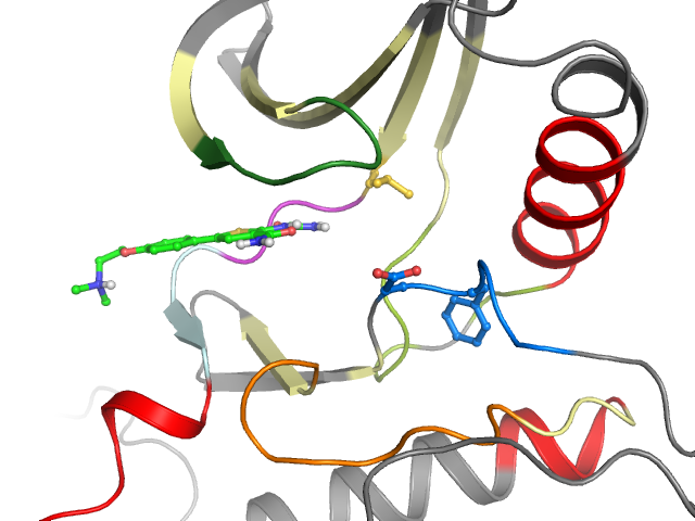 The orthosteric binding pocket