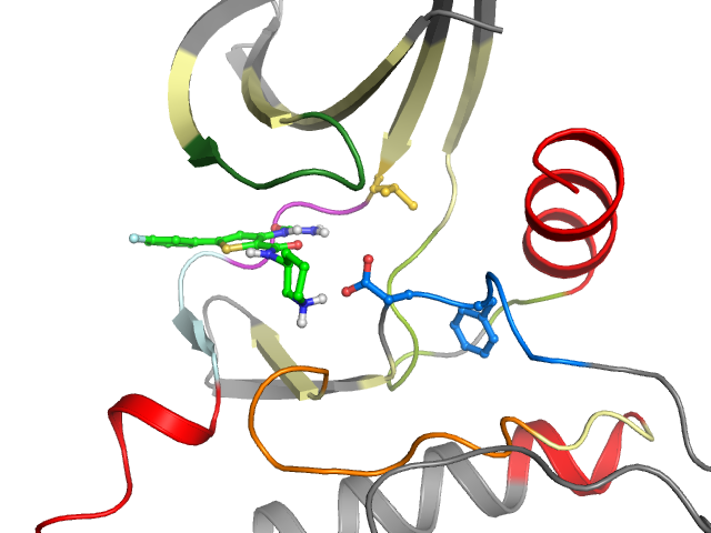 The orthosteric binding pocket