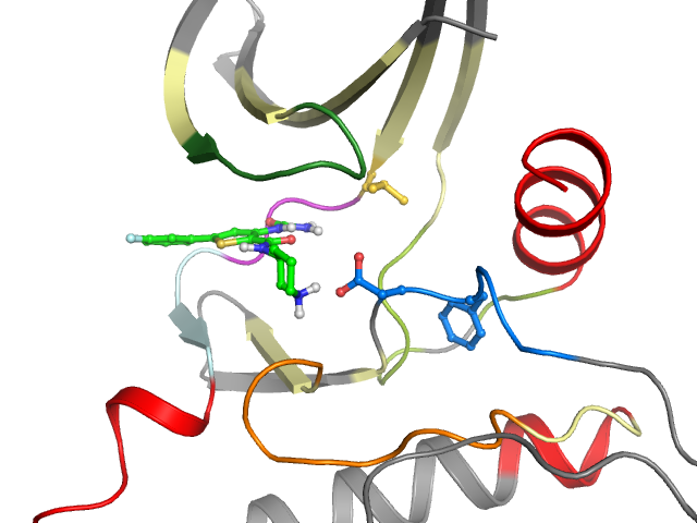 The orthosteric binding pocket