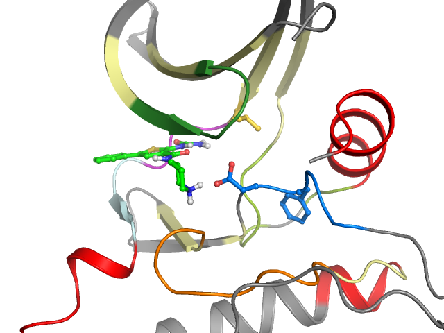 The orthosteric binding pocket