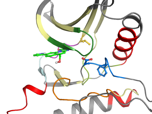 The orthosteric binding pocket