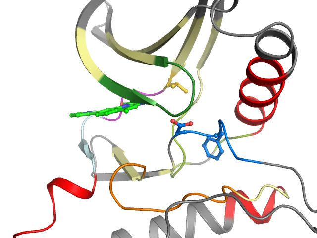 The orthosteric binding pocket