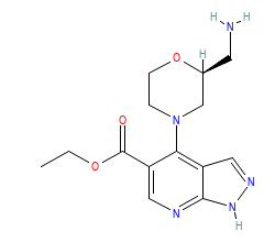 2D structure of the orthosteric ligand