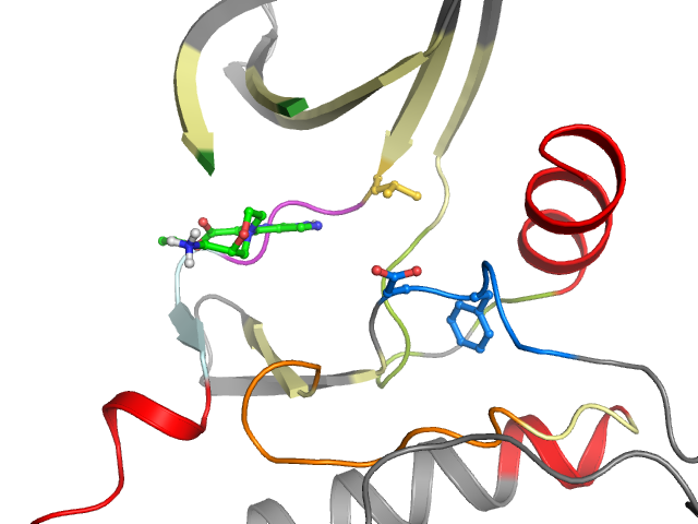 The orthosteric binding pocket