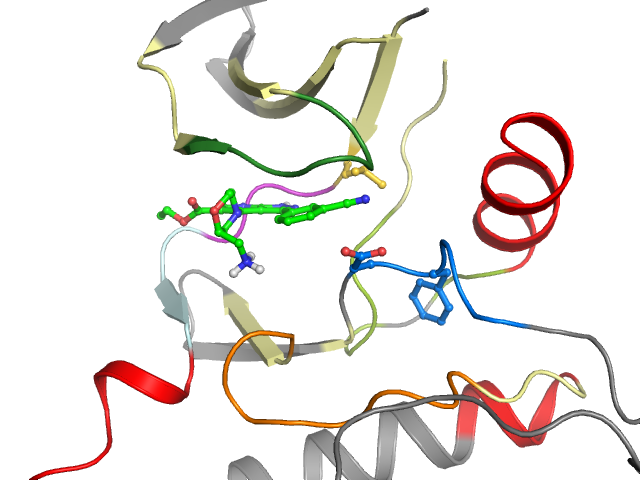 The orthosteric binding pocket