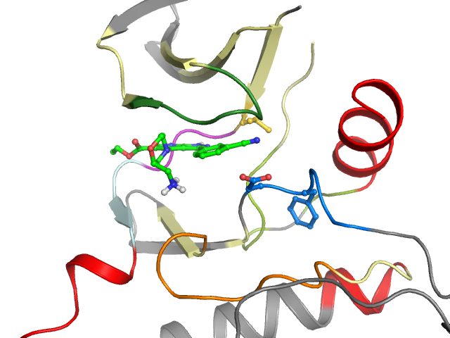 The orthosteric binding pocket