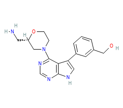 2D structure of the orthosteric ligand