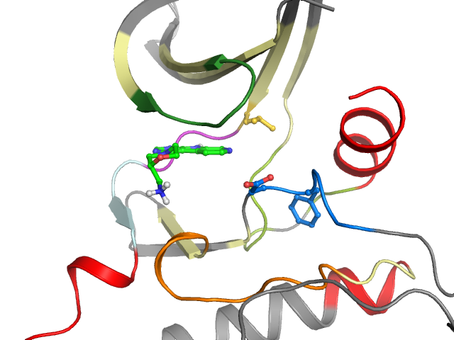 The orthosteric binding pocket