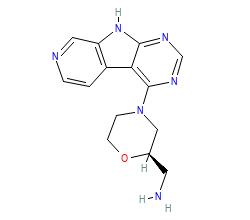 2D structure of the orthosteric ligand
