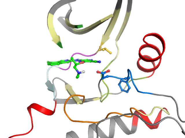 The orthosteric binding pocket