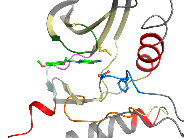 The orthosteric binding pocket