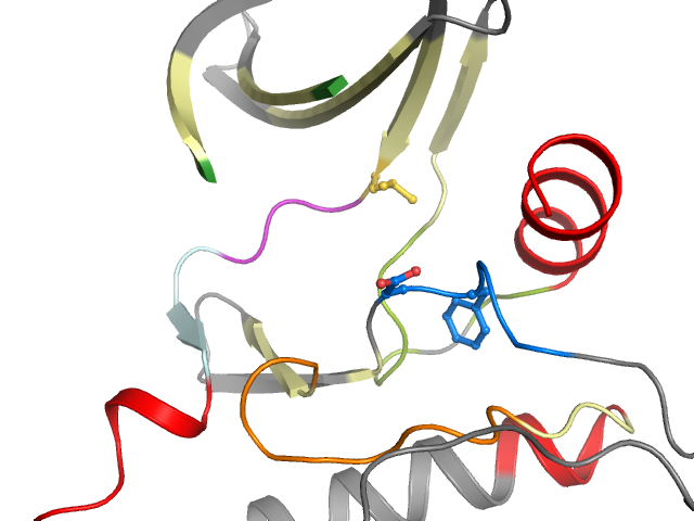 The orthosteric binding pocket