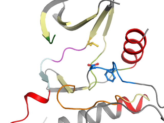 The orthosteric binding pocket