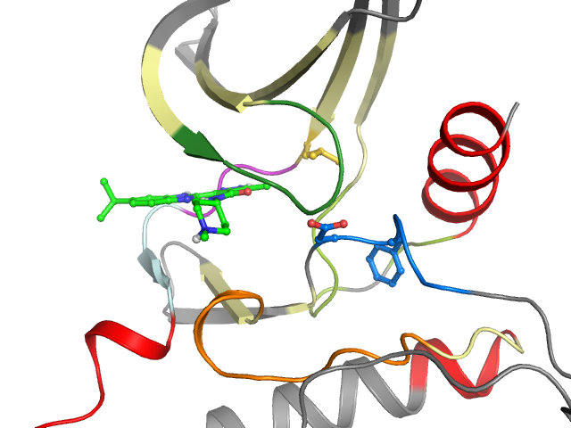 The orthosteric binding pocket