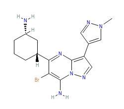 2D structure of the orthosteric ligand