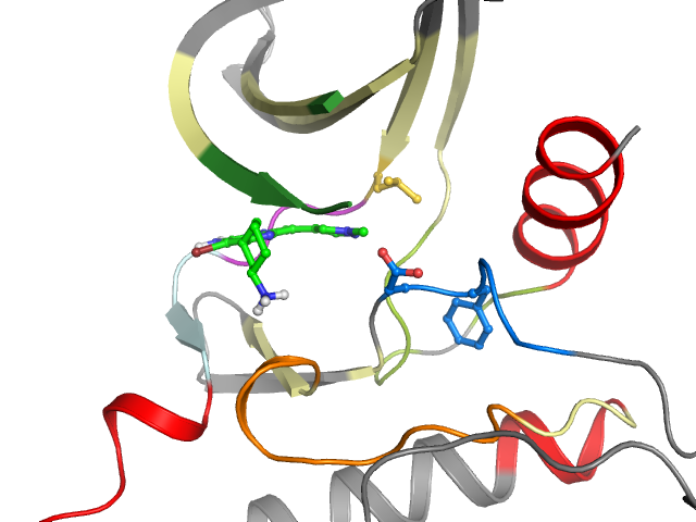 The orthosteric binding pocket