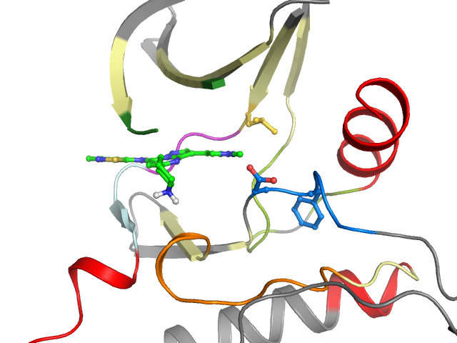 The orthosteric binding pocket