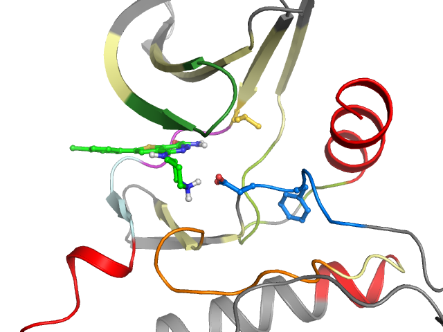 The orthosteric binding pocket