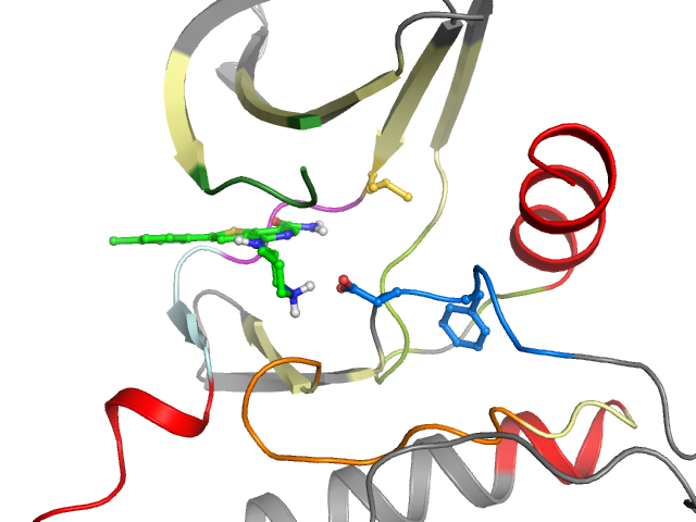 The orthosteric binding pocket