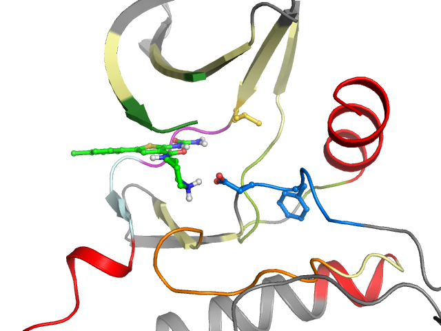 The orthosteric binding pocket