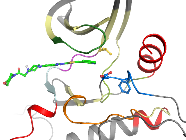 The orthosteric binding pocket