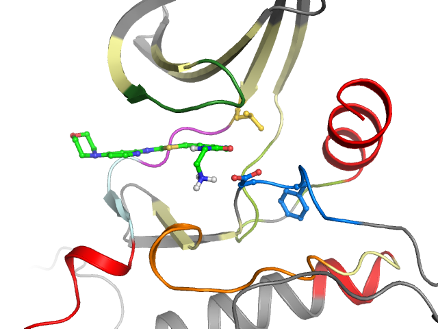 The orthosteric binding pocket