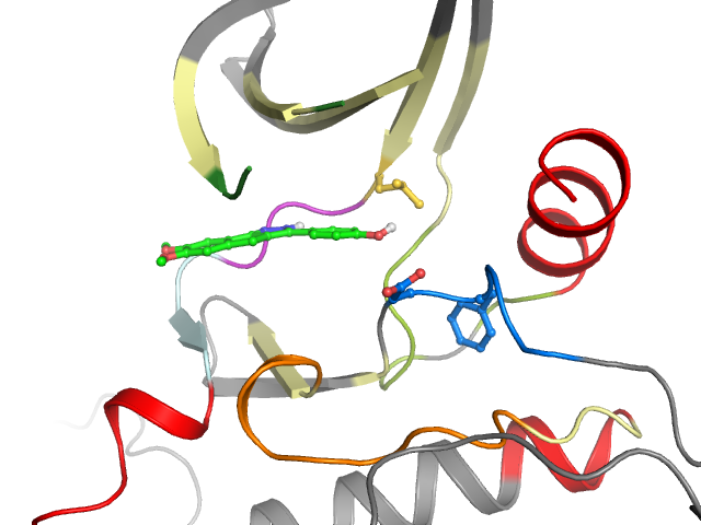 The orthosteric binding pocket