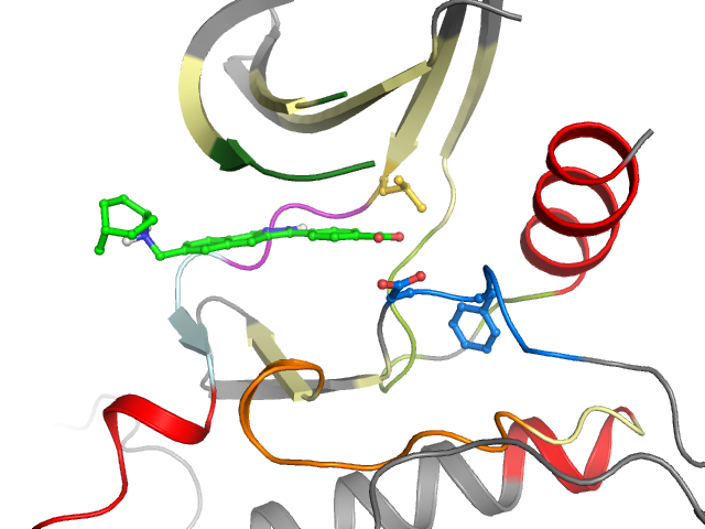 The orthosteric binding pocket
