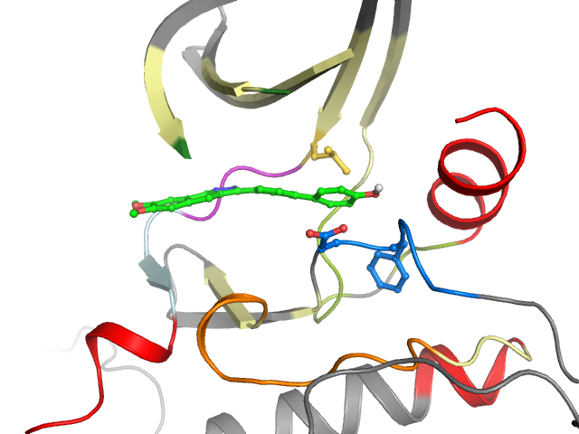 The orthosteric binding pocket