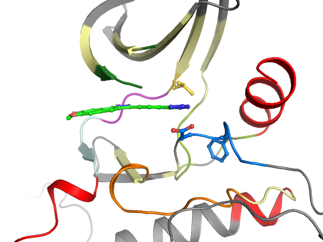 The orthosteric binding pocket