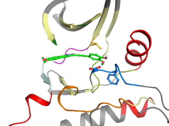 The orthosteric binding pocket