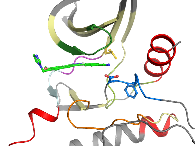 The orthosteric binding pocket