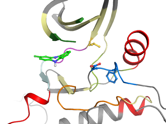 The orthosteric binding pocket