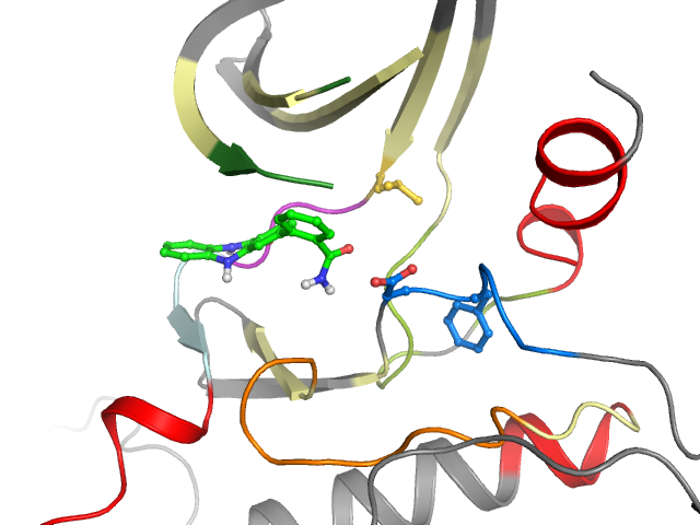 The orthosteric binding pocket
