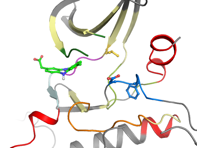 The orthosteric binding pocket