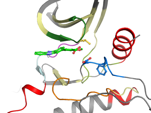 The orthosteric binding pocket