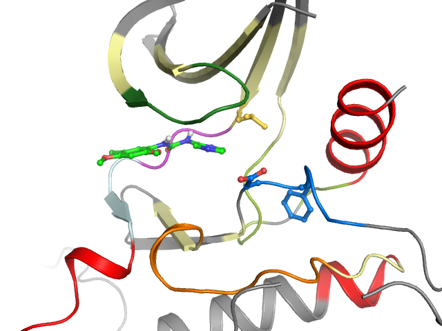 The orthosteric binding pocket