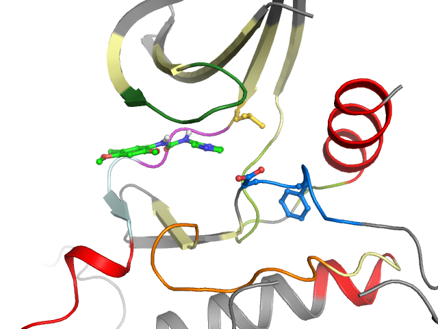 The orthosteric binding pocket