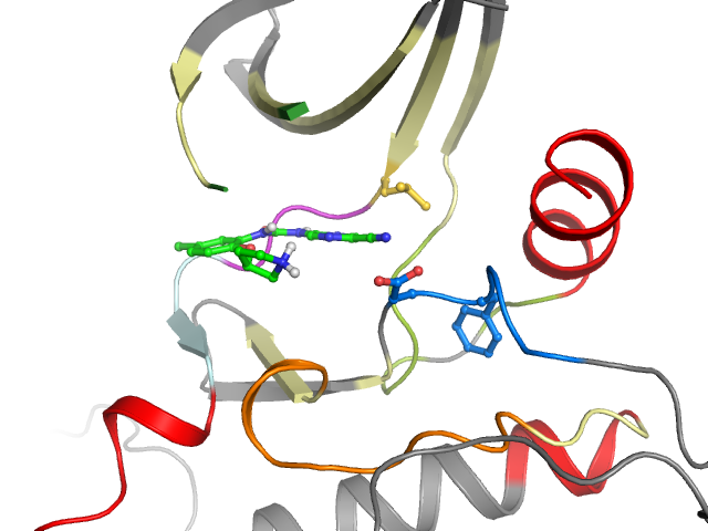 The orthosteric binding pocket