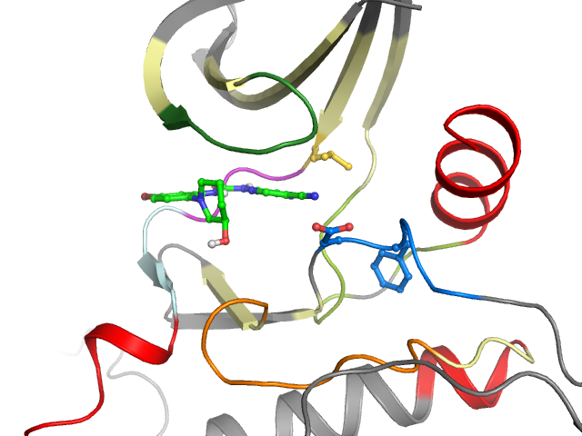 The orthosteric binding pocket