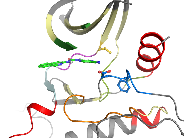 The orthosteric binding pocket