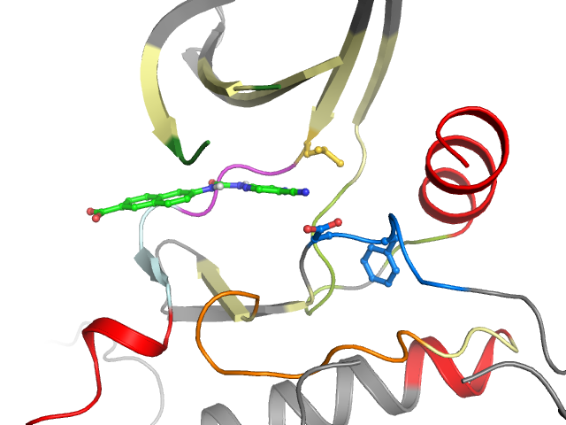 The orthosteric binding pocket