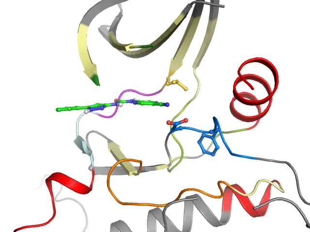 The orthosteric binding pocket