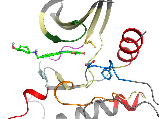 The orthosteric binding pocket