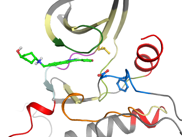 The orthosteric binding pocket