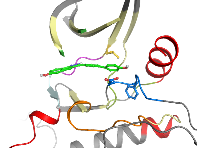 The orthosteric binding pocket