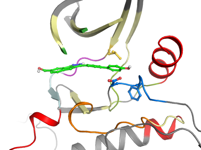 The orthosteric binding pocket