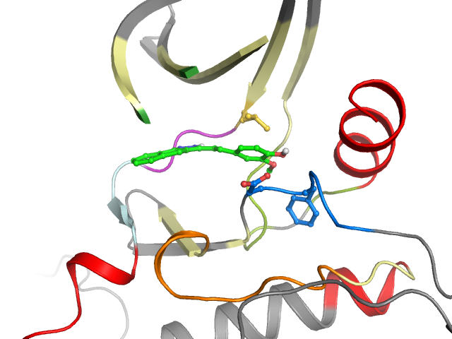 The orthosteric binding pocket